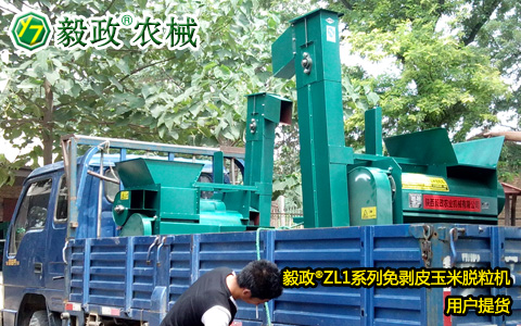 外地客戶來我司提取2臺(tái)毅政牌ZL1D型電機(jī)式免剝皮玉米脫粒機(jī)