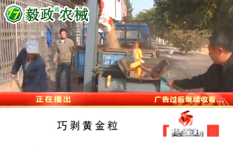 中央電視臺(tái)10套《我愛(ài)發(fā)明》之“巧剝黃金?！卑l(fā)明人袁毅