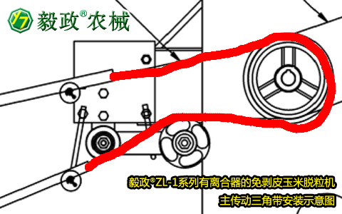 毅政牌ZL1系列有離合器的免剝皮玉米脫粒機，主傳動三角帶正確安裝